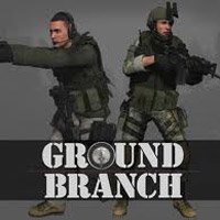 Ground Branch (PC cover