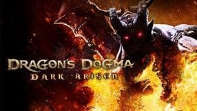 Dragon's Dogma: Dark Arisen v1.0 - v1.3 +24 TRAINER